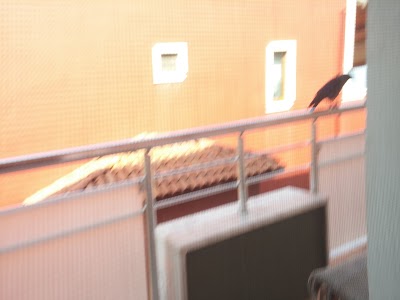 Photos of Yalova Kipa Avm, Cinemapink