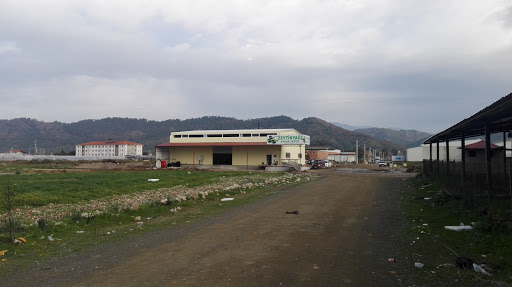 Gökbelde Zeytinyağı Fabrikası
