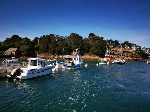 Photo de Le 7 Brélévenez à Brélévenez (22300)