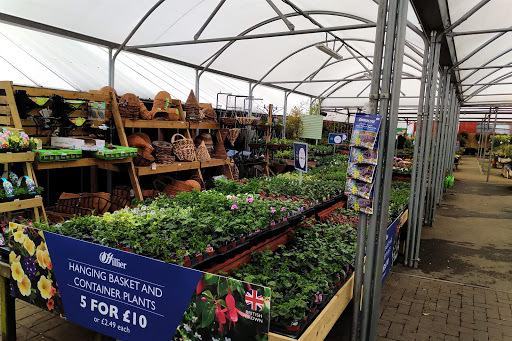 Hillier Garden Centre Newbury - Thumbnail
