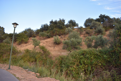 Paseo De La Fontanica