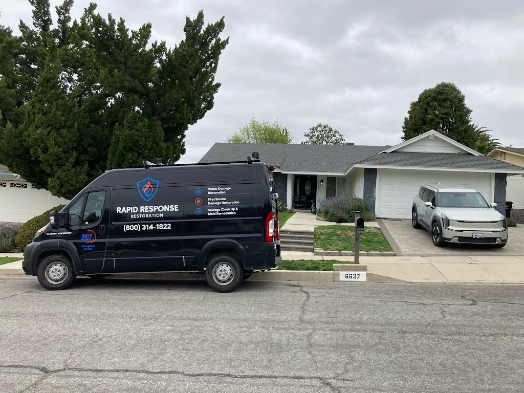 Rapid Response Restoration photo