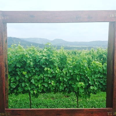 Photos of Cathedral Peak Wine Estate