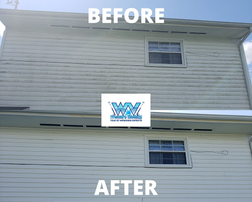 WV - Visual