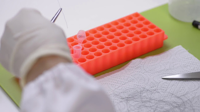 Avaliações doEquigerminal em Coimbra - Laboratório