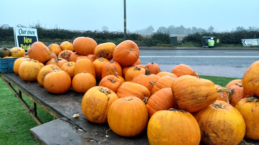 V & P Collins Farm Shop Gallery - United Kingdom
