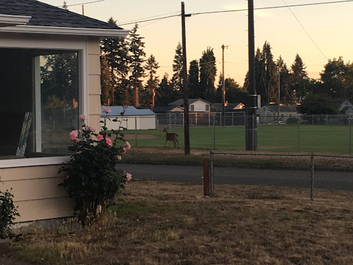 Emerald Mobile Home & RV Park - Thumbnail