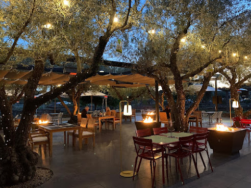 The Grove at Copia by null