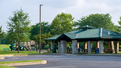 Dames Park - Visual