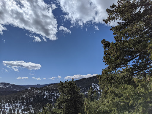 Ponderosa Sisters Loop Gallery - United States