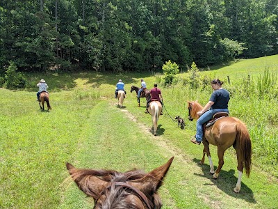 Little Mulberry Park Equestrian Parking