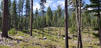 Tin Cup Trailhead