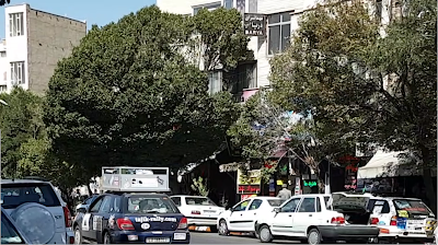 Photos of Darya Guest House