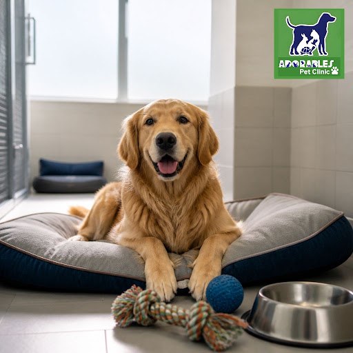 Planning a trip and worried about leaving your furry friend behind? At Adorables Pet Clinic, we c… post image