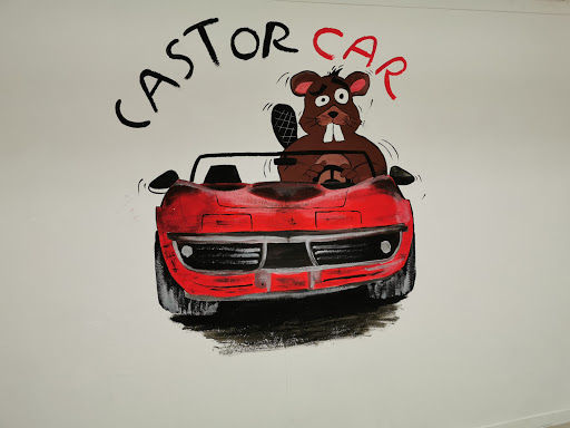 Castor Car di Bertolucci Alessandro - Thumbnail