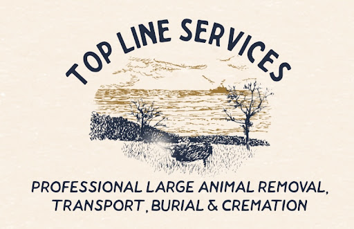 Top Line Services - Visual