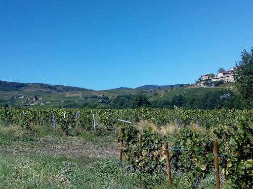 Saint Vérand - Thumbnail