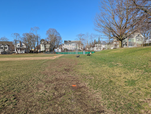 Town Field - Visual
