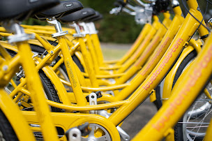 Photo n°3 de LoueTonVelo.Com à Messanges (Magasin de vélos)