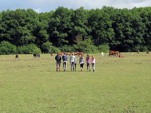 Photo n°7 de Eperon de Lantilly à Cervon (Centre équestre)