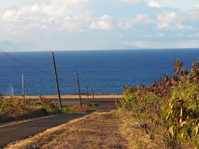 Upolu Airport