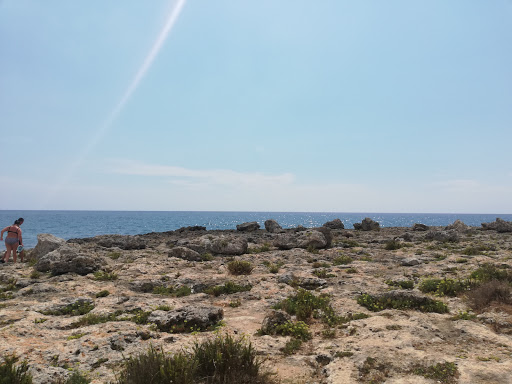 Spiaggia di Palude del Conte - Thumbnail