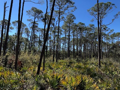 Bon Secour National Wildlife Refuge