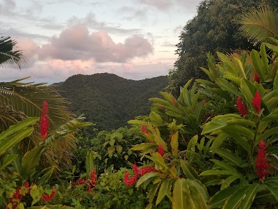 Photos of National Park of American Samoa