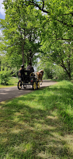 Parkeerplaats Natuurmonumenten - Thumbnail