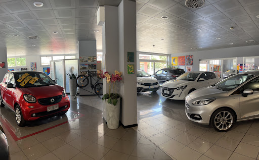 Cars Bresciani srl - Thumbnail