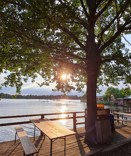 Alfsee Wasserski GmbH - Thumbnail
