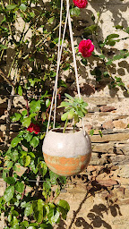 Photo n°22 de COEUR DE TERROIR à Châteauneuf-la-Forêt (Épicerie)