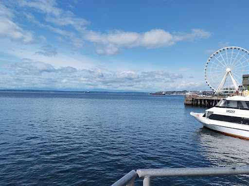 Seattle - Visual