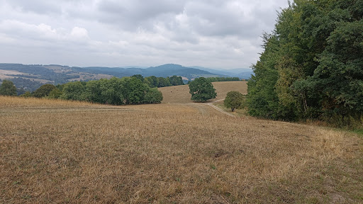 Posteiche - Visual