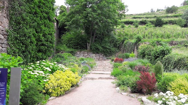 Château dit Schlossberg et enceinte