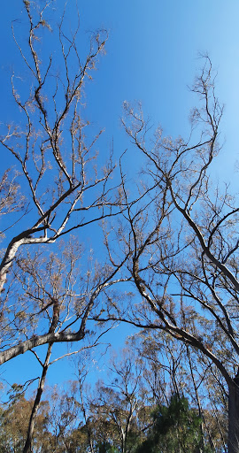 Munghorn Gap Nature Reserve - Thumbnail