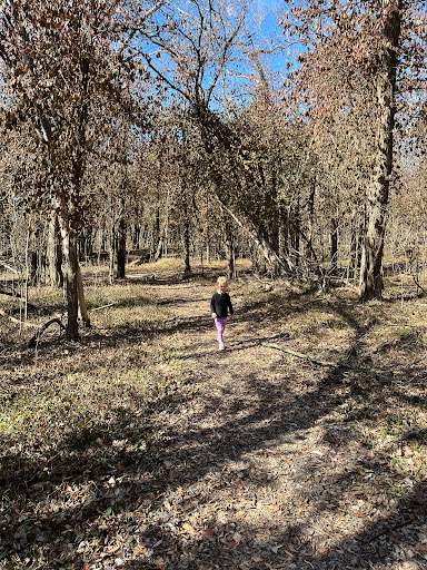 Townsite Trail - Thumbnail
