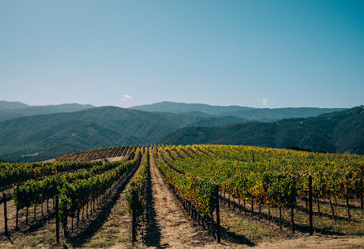 Holman Ranch - Visual