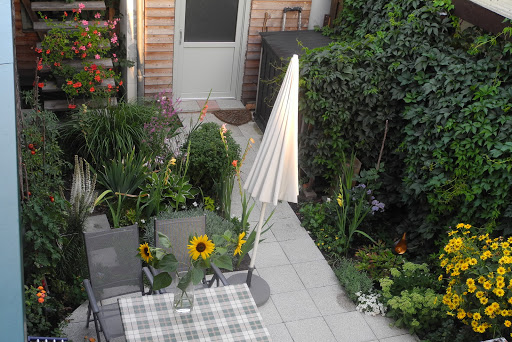Ferienwohnung - Zur Blüte Nr. 5 - Gallery - Germany