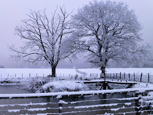 Photo n°5 de Le Marronnier - Chambres d'Hôtes à Champrougier (Chambre d'hôtes)