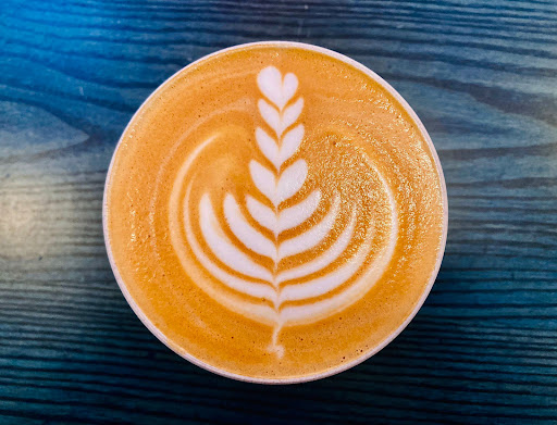 TRAMPOLINE Cafe - Visual