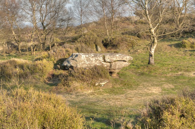 National Trust - Brimham Rocks