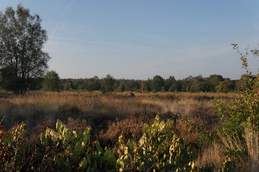 Losloopgebied Ederheide / De Drieberg