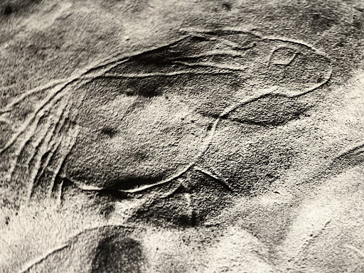 Photo de Musée André Voulgre à Mussidan (24400)