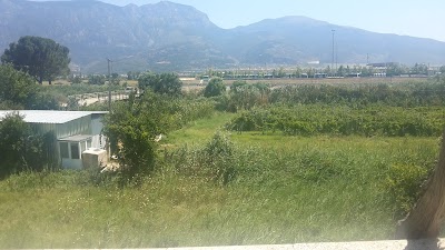 Photos of Yeni Garaj