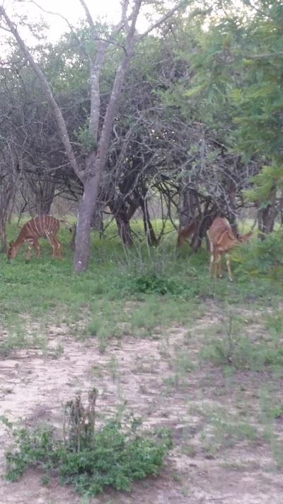 Photos of Maduma Boma - Self Catering Chalets