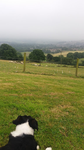 Helme Ln Harrison Lane - Thumbnail