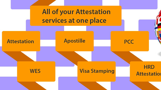 Af1qippwotgqeidqyetdhg Snqbpafvq9xizg85fbypy=s515 K No