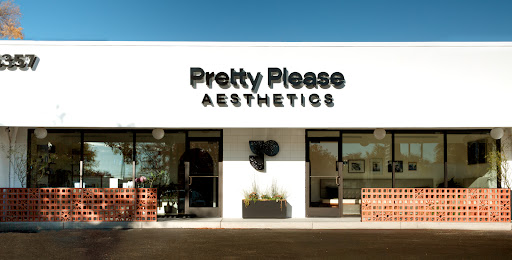 Pretty Please Aesthetics