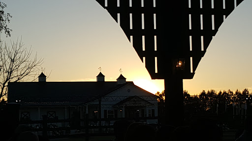 Windy Ridge Farm, LLC - Thumbnail